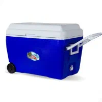 یخچال سفری سراب 60 لیتری