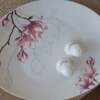 سرویس ارکوپال۶نفره