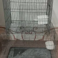 پرنده قفس