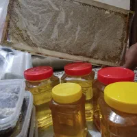 عسل طبیعی بهار نارنج