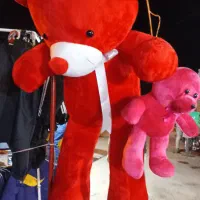 خرس ولنتایین