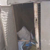 اتاق وانت پیکان