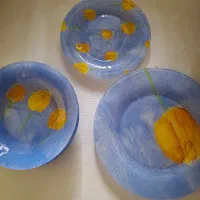 ست بشقاب ارکوپال