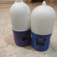 آبخوری پرنده