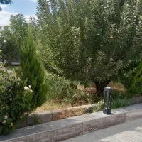 فروش-باغ