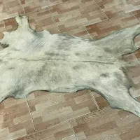 پوست فرش