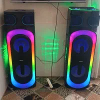 اسپیکر دوقلو دیجی دارسونیا