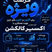 استخدام ویزیتور