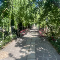 اجاره باغ ویلا