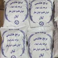 برنج شمال هاشمی درجه یک (گیلان)