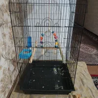 قفس پرنده