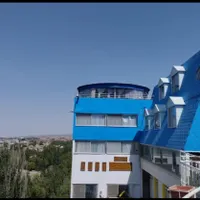 زوج جوان بدون فرزند