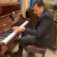 پیانیست، تنظیم ،آهنگسازی نوازنده پیانو