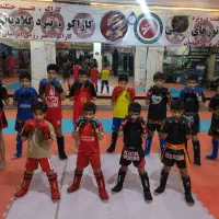 باشگاه  ورزشی در رشته  هنرهای  رزمی