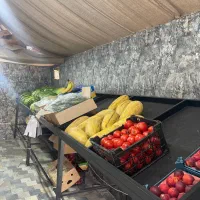 استند میوه فروشی