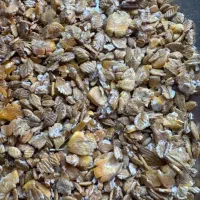 دان و کنسانتره آجیلی پرک شده   گوشتی