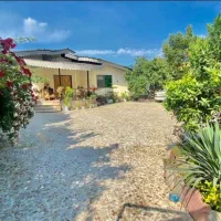 ویلا جنگلی|اجارهٔ کوتاه‌مدت ویلا و باغ|دالخانی, |دیوار