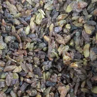 کشمش کارتنی(پخش کشمش)