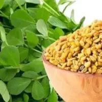 میوه خشک پرانرژی زا
