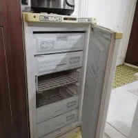 فریزرالکترولوکس