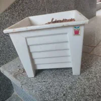 گلدان|گل و گیاه طبیعی|همدان, |دیوار