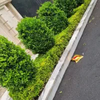 خدمات باغبانی در سراسر کرج
