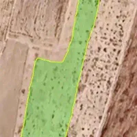 زمین کشاورزی باغی