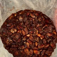 خرمای شکر اعلا