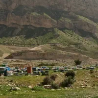عسل  زنبورستان گوهرنایاب