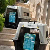 باکس سگ آنی وان ایتالیا  چرخدار