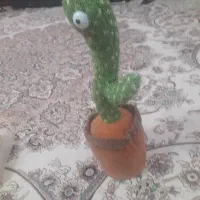 گلدان موزیکال وسخنگو