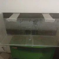 آکواریوم