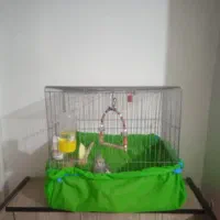 قفس پرنده
