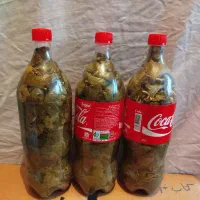 بطری برگ مو