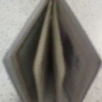 مدارک گم‌شده