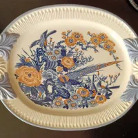 دیس قدیمی ‌