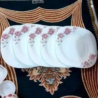 ظروف سالم و نو