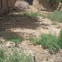 زمین فروشی                معاوضه با نیسان هم دارم