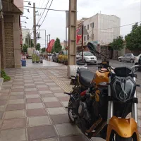 بنلی 300