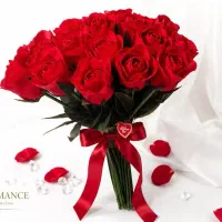 شاخه گل رز هلندی