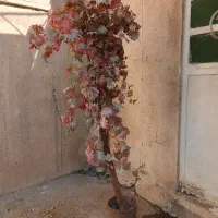 اهواز شهرک رزمندگان
