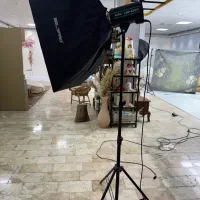 فلاش گودکس