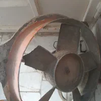 یکجا همش