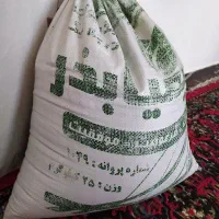 بذر یونجه رنجر آمریکایی درجه ۱