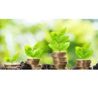 نیازمند۷۰۰سرمایه