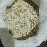 گلپر