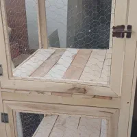 فروش فوری جفت کن کبوتر بزرگ