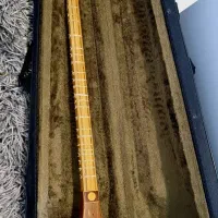 سه تار حرفه ای کار استاد (استادی)