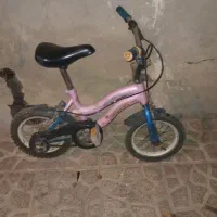 دو عدد دوچرخه