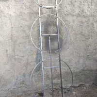 شاسی تاج گل